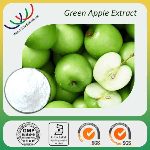 Manufacturer Wholesale Healthy Organic Food Grade High-Purity Apple Extract Powder