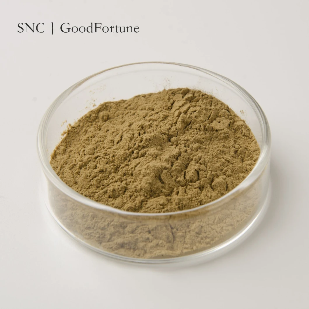 Factory Wholesale Price Plant Extract Echinacea Purpurea Extract 4%