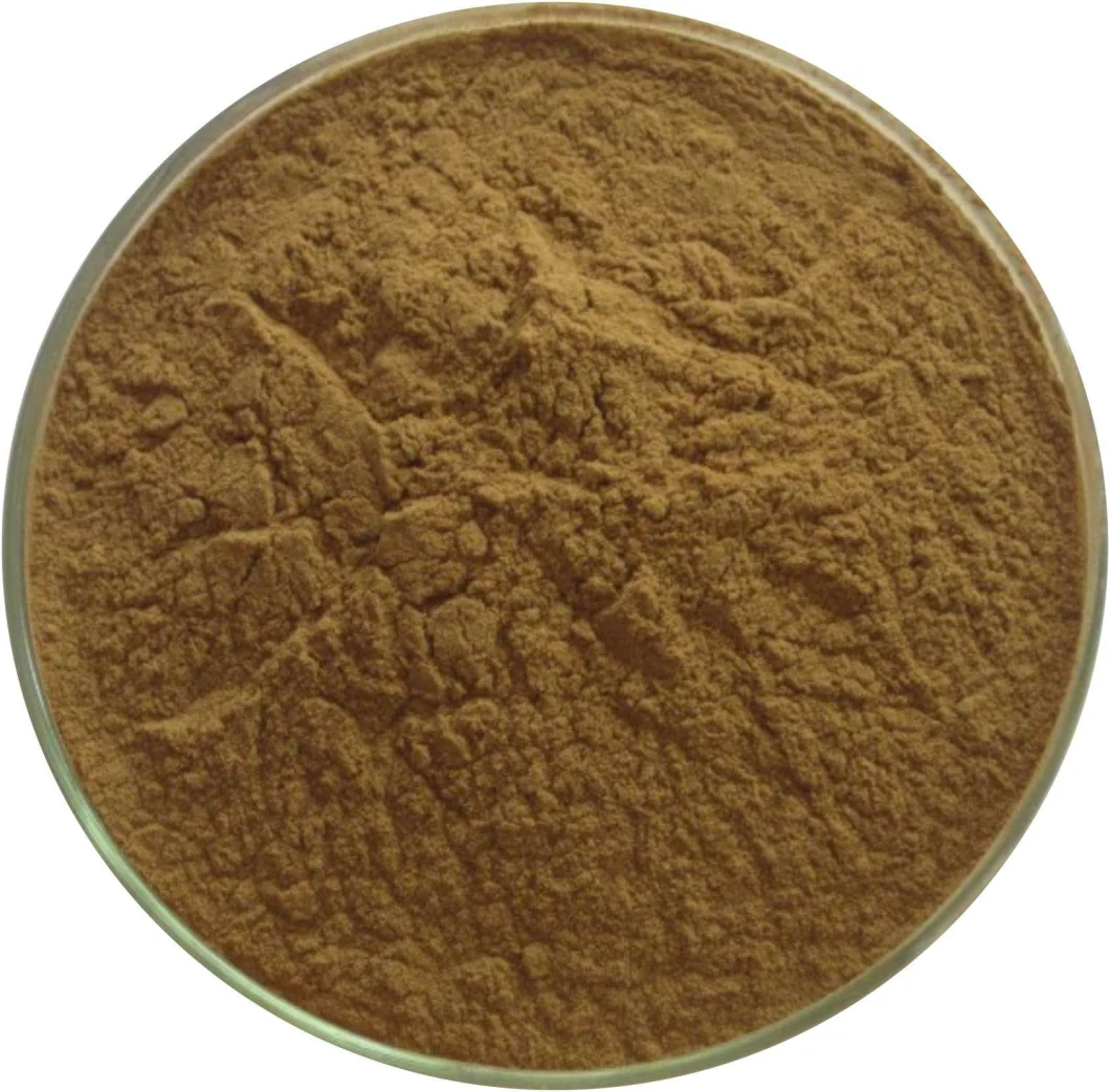 Argc Hot Sell Echinacea Extract Powder 4% Polyphenols Echinacea Purpurea Extract