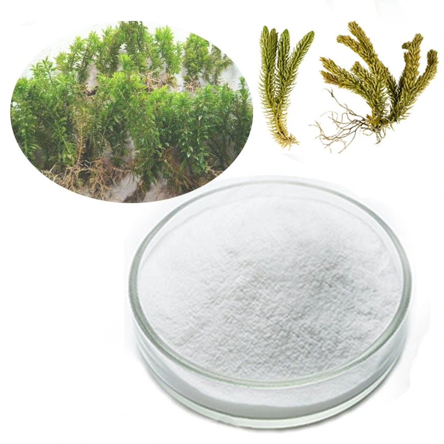 Hot Sale 1% Huperzine a Huperzia Serrata Extract