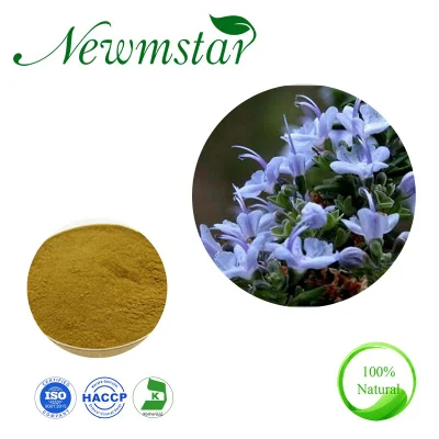 Natural Rosemary Extract 5%~60%/ Carnosic Acid 2.5%~98% /Rosmarinic Acid 25%~98% /Ursolic Acid Essential Oil Feed Additive Herbal Extract Rosemary