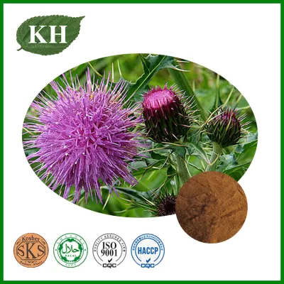 Liver Health Natural Silymarin Silybin Isosilybin Milk Thistle Extract