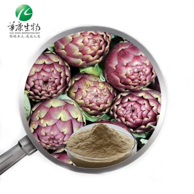 Natural Plant Extract 2.5% Cynarin Artichoke Leaf Extract Powder Artichoke Extract