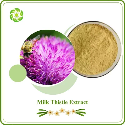 World Well-Being Factory Price Healthcare 80% Silybin Milk Thistle Silymarin Milk Thistle Extract