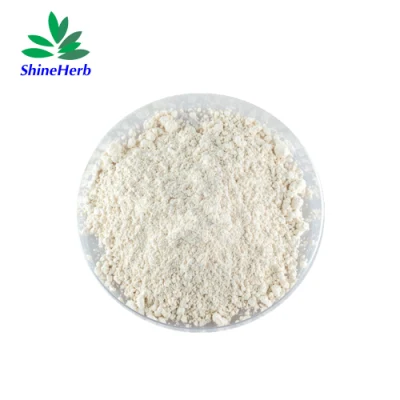 Vine Tea Extract / Hovenia Dulcis Thunb Extract Dihydromyricetin Powder 98% Dihydromyricetin