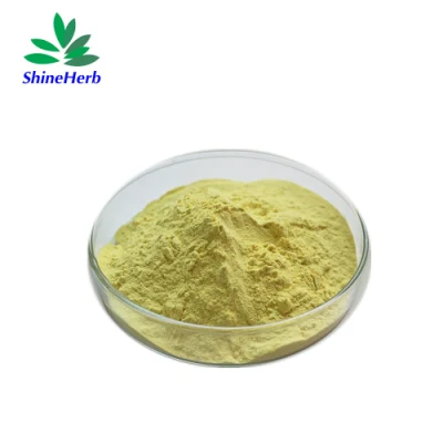 Bulk Supply 80% Silymarin Organic Milk Thistle Extract