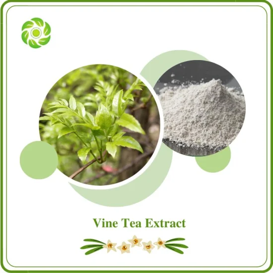 Free Sample Weight Loss Dihydromyricetin 10-98% Factory Direct Supply Food Preservatives Myricetin 25-98% Antiphlogistic Protect The Liver Vine Tea Extract