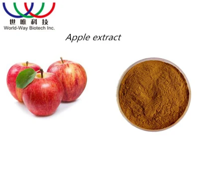 Free Sample GMP Kosher Natural Bulk Price 1%~95% Phloridzin Apple Extract