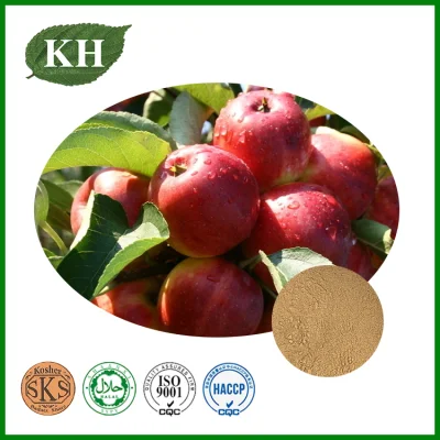 Decreasing Organ Fat Apple Root Extract