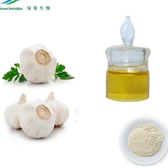 Hot Sale 4% Polyphenols, Cichoric Acid Powder Echinacea Purpurea Extract